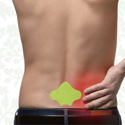 wellgiz™ Natural Back Pain Patches